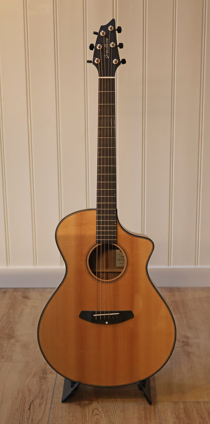 Gitaar