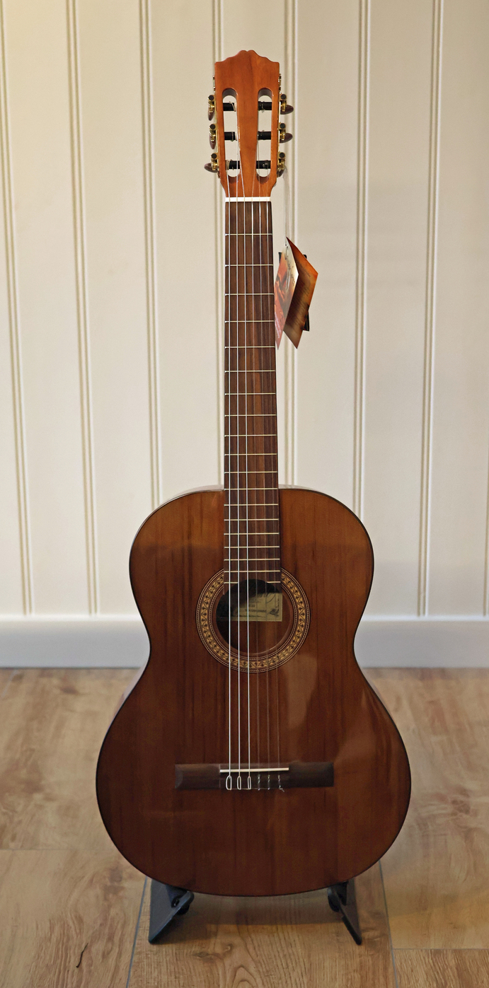 Gitaar