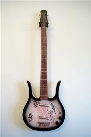 heideroosjes basgitaar Danelectro Longhorn 